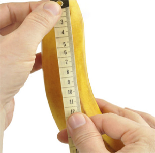 the banana is measured with a centimeter tape